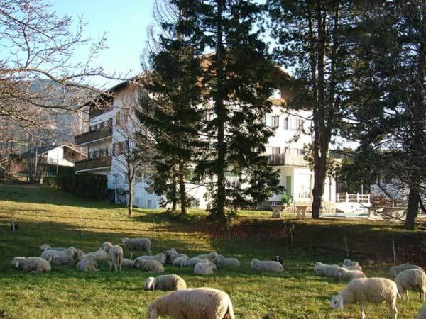 Hotel Due Pini Baselga di Pinè Buitenkant foto